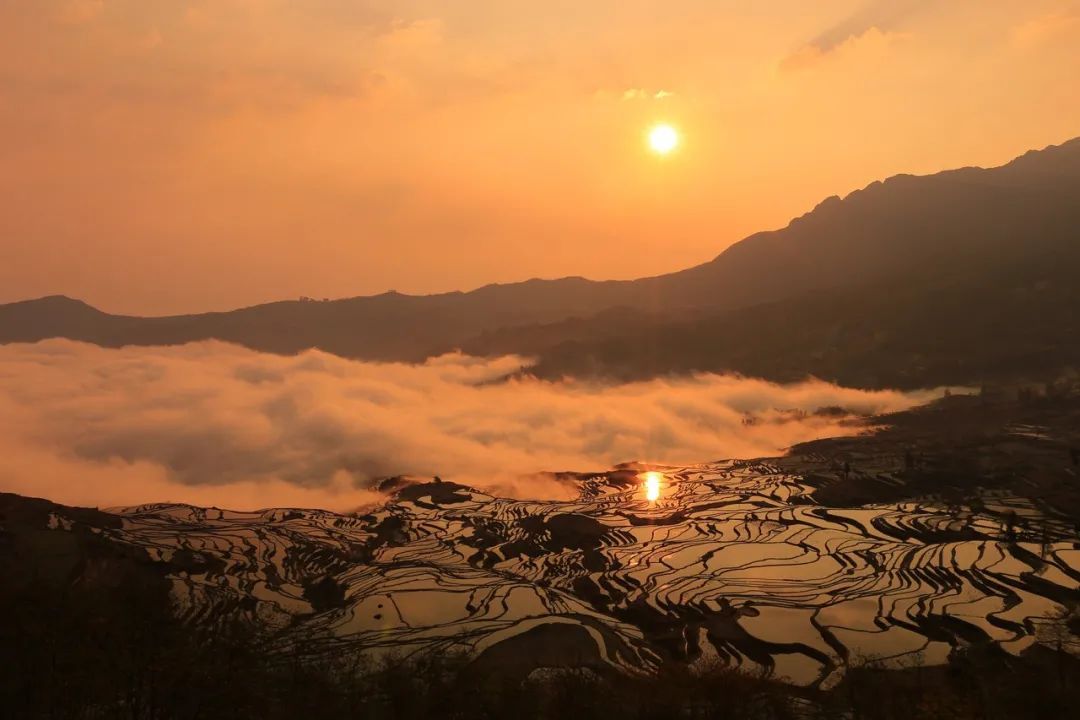 畅游云南 | 冬日的元阳梯田 有最绚丽的美景