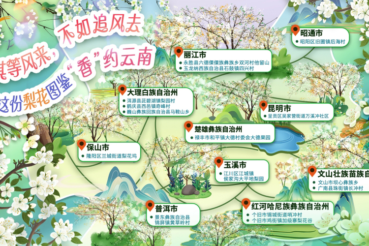 与其等风来 不如追风去——随这份梨花图鉴“香”约云南