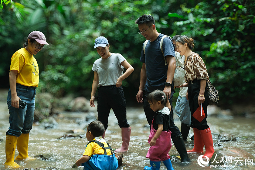 雨林徒步带火云南西双版纳基诺山乡