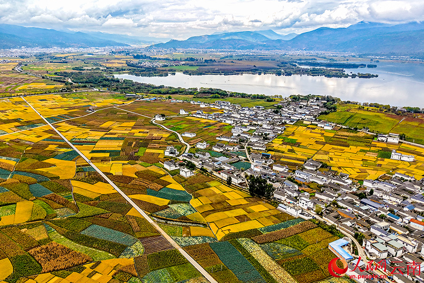 云南剑川：秋日“调色板” 浪漫又治愈