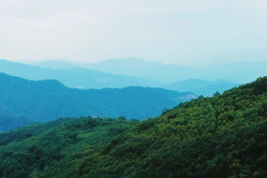 雨后的云南墨江新抚夏牧场：心中的阿勒泰