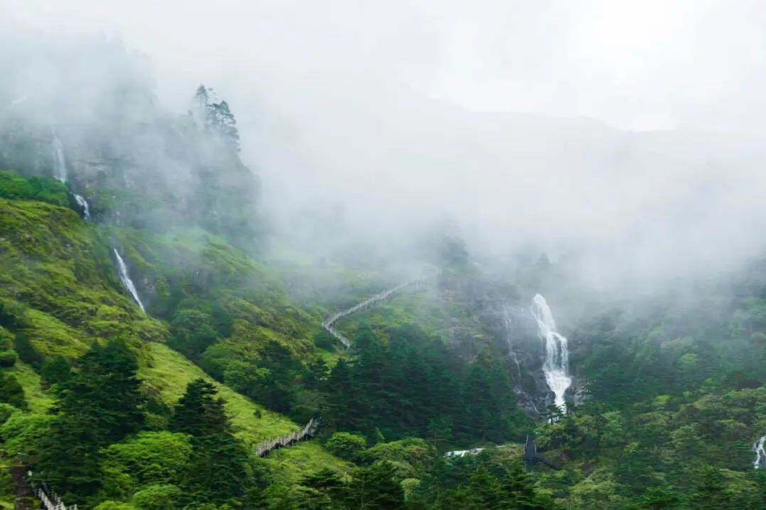 盛夏 到轿子山感受清凉之旅