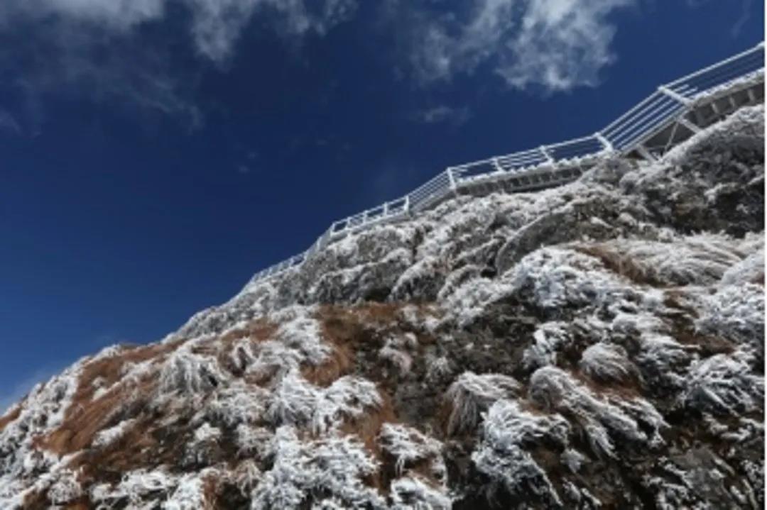 云南轿子雪山现绝美雾凇！