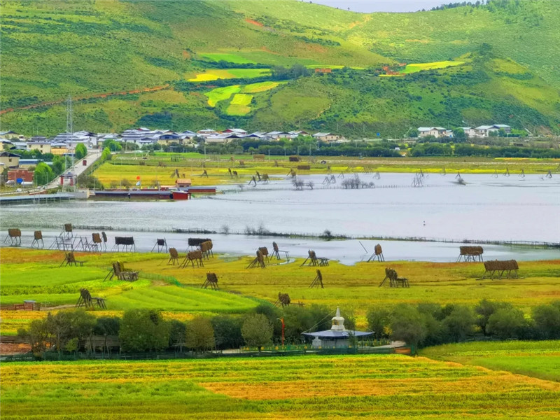遇上彩云南 | 吸氧